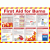 Click here for more details of the First Aid for Burns. Poster.