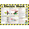 Click here for more details of the Electric Shock.