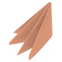 Click for a bigger picture.33cm 2 ply NAPKINS - PEACH       **SUPER SAVER**  ~ (List Price   40.91)