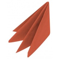 Click for a bigger picture.33cm 2 ply NAPKINS - TERRACOTTA       **SUPER SAVER**  ~ (List Price   43.64)