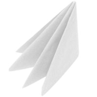 Click for a bigger picture.40cm 2 ply NAPKINS - WHITE      **SUPER SAVER**  ~ (List Price   49.00)