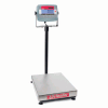 Digital Scales